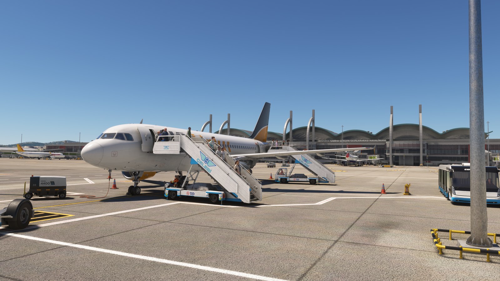 TC-SLE