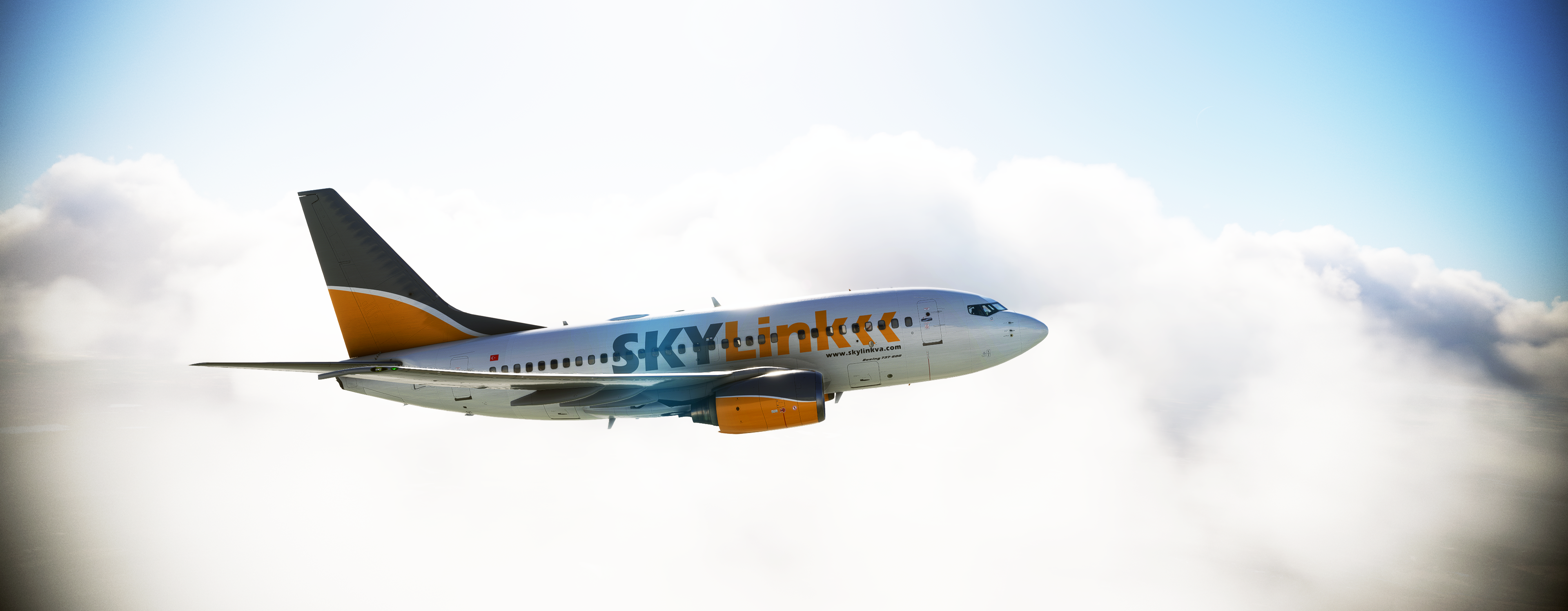 INK B736 01